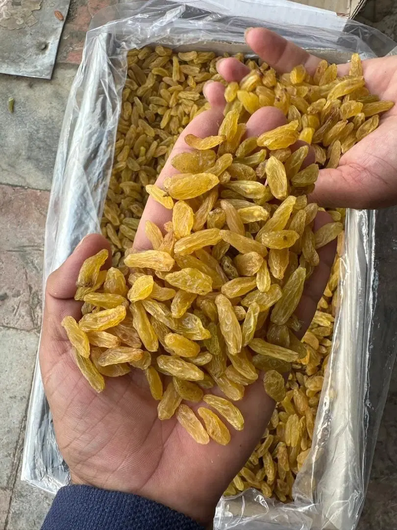 کشمش زرد و آفتابی خراسان|خوردنی و آشامیدنی|تهران, آذربایجان|دیوار