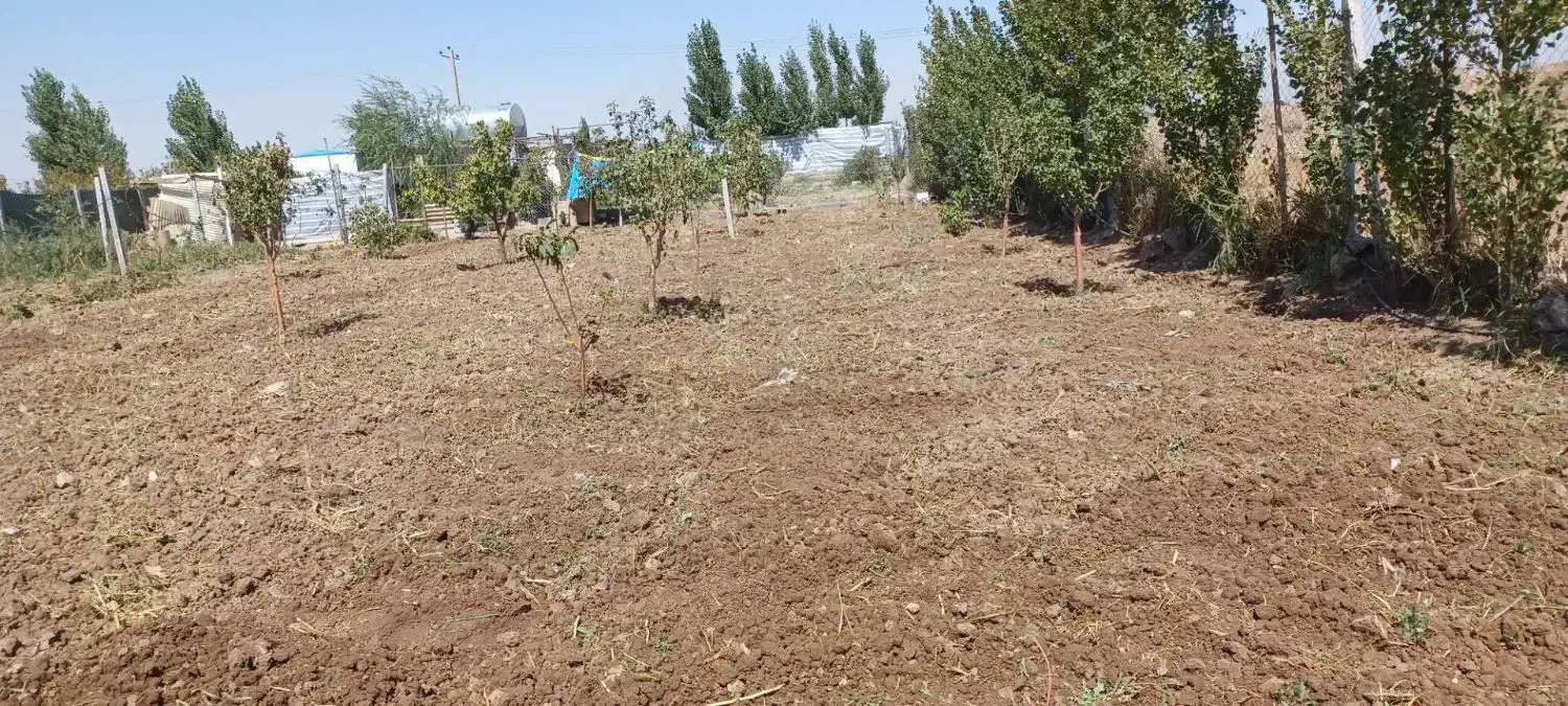 شخم زنی. قزوین(الموت وسایر اطراف حومه)|خدمات باغبانی و درختکاری|محمدیه-قزوین, |دیوار