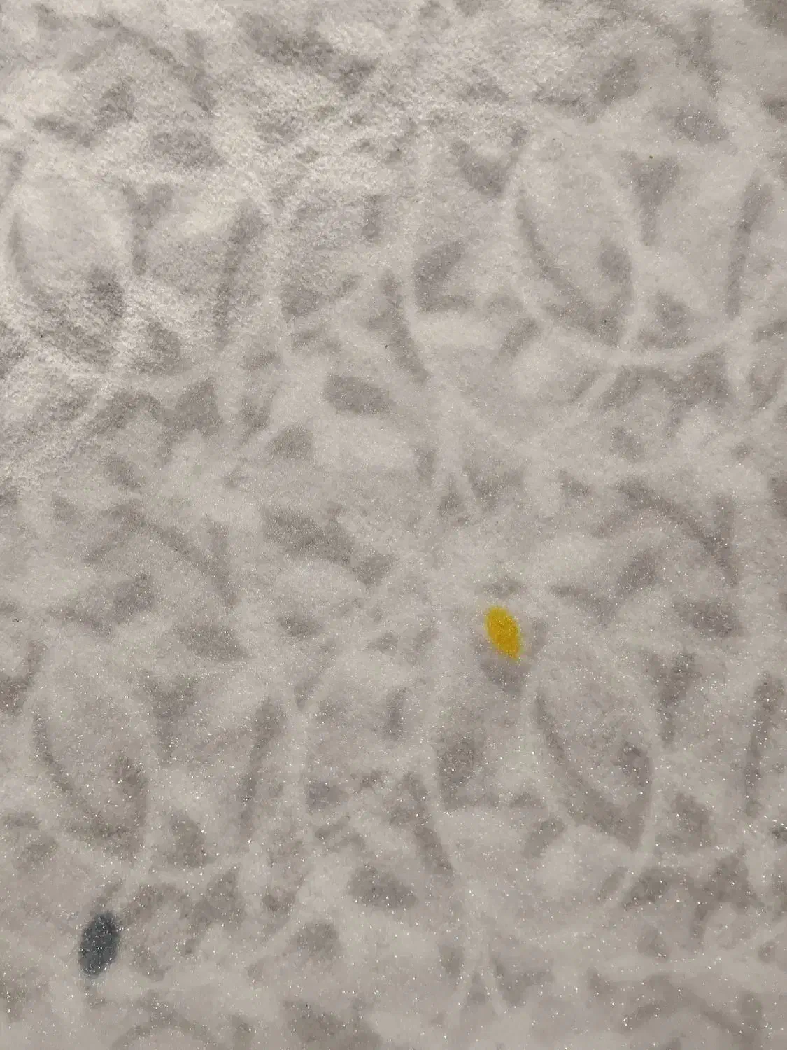 موکت|موکت|دوگنبدان, |دیوار