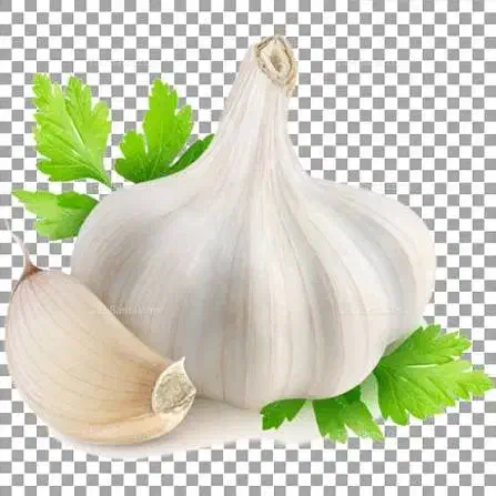 سیر تازه|خوردنی و آشامیدنی|نهاوند, |دیوار