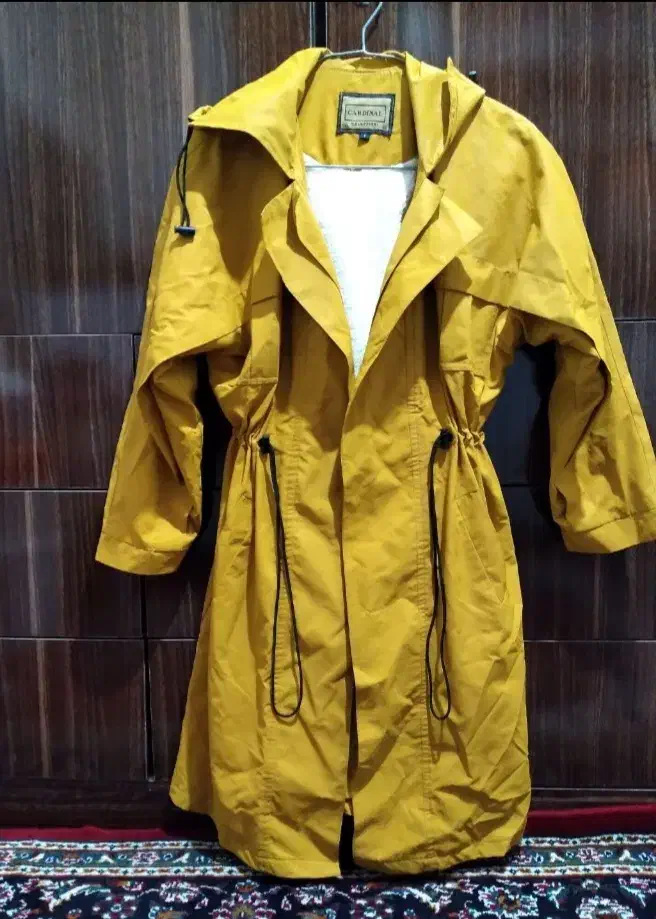 پالتو|لباس|بیستون, |دیوار