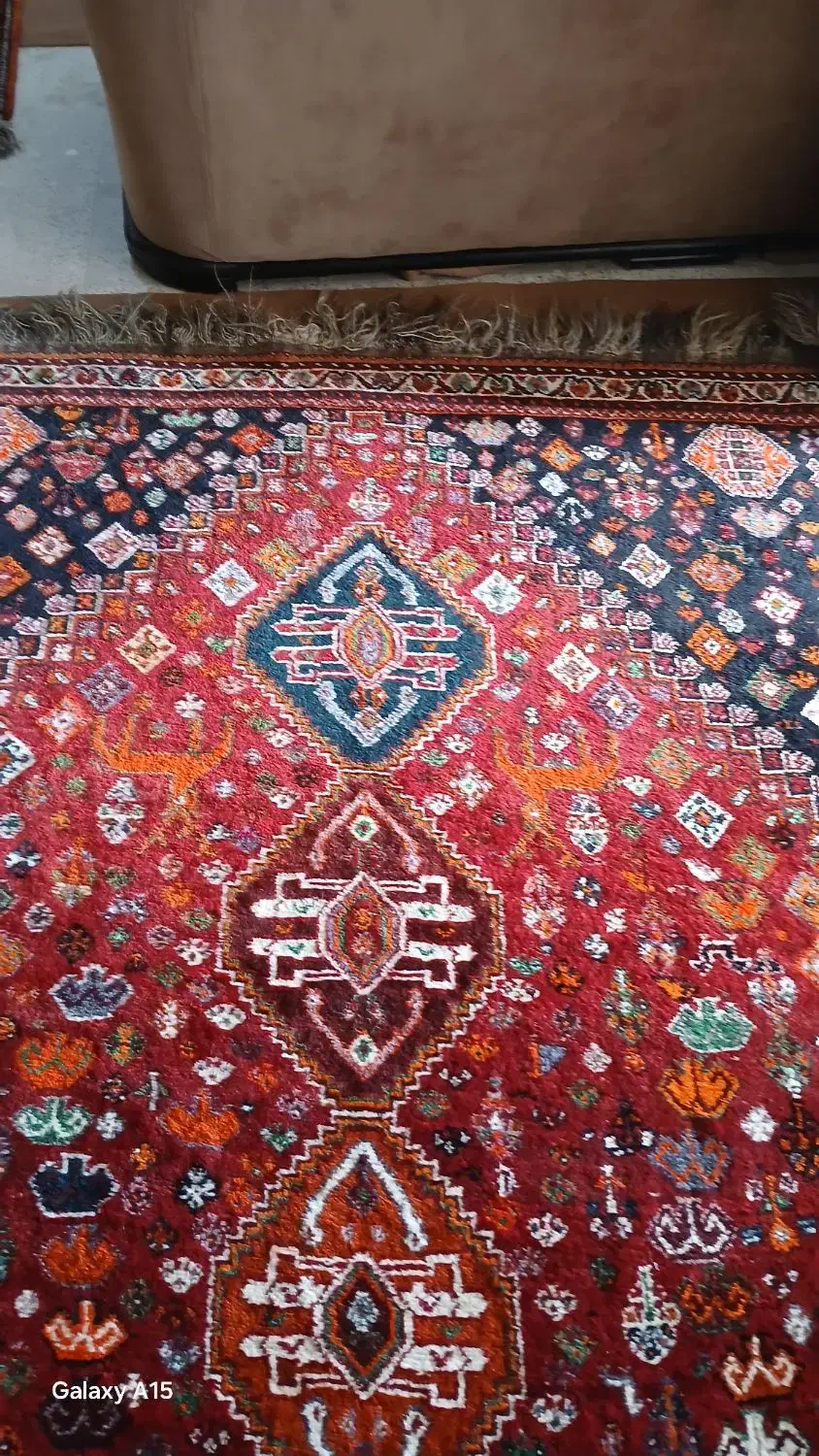 فرش دستباف|فرش|مرودشت, دولت آباد|دیوار