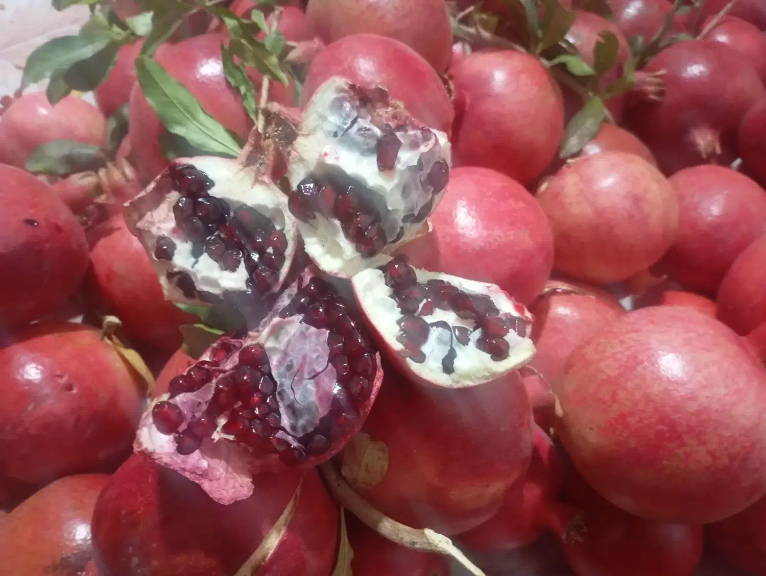 انار دانه زغالی جوشان|خوردنی و آشامیدنی|گلباف, |دیوار