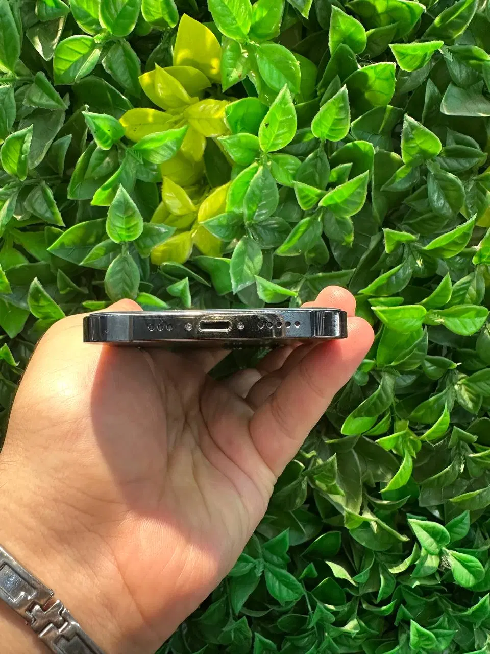 iPhone 12 pro za|موبایل|بابل, |دیوار