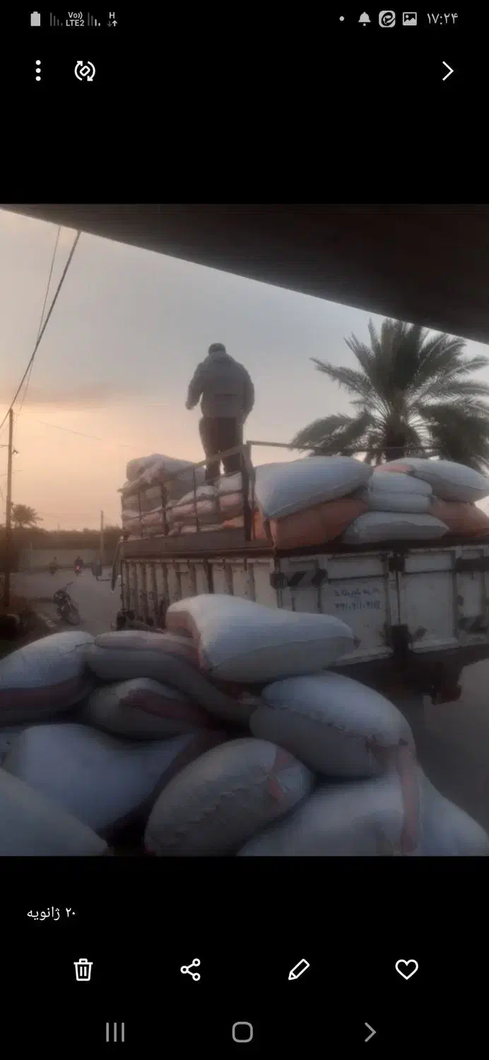 یونجه شلیف شده|عمده‌فروشی|فراشبند, |دیوار