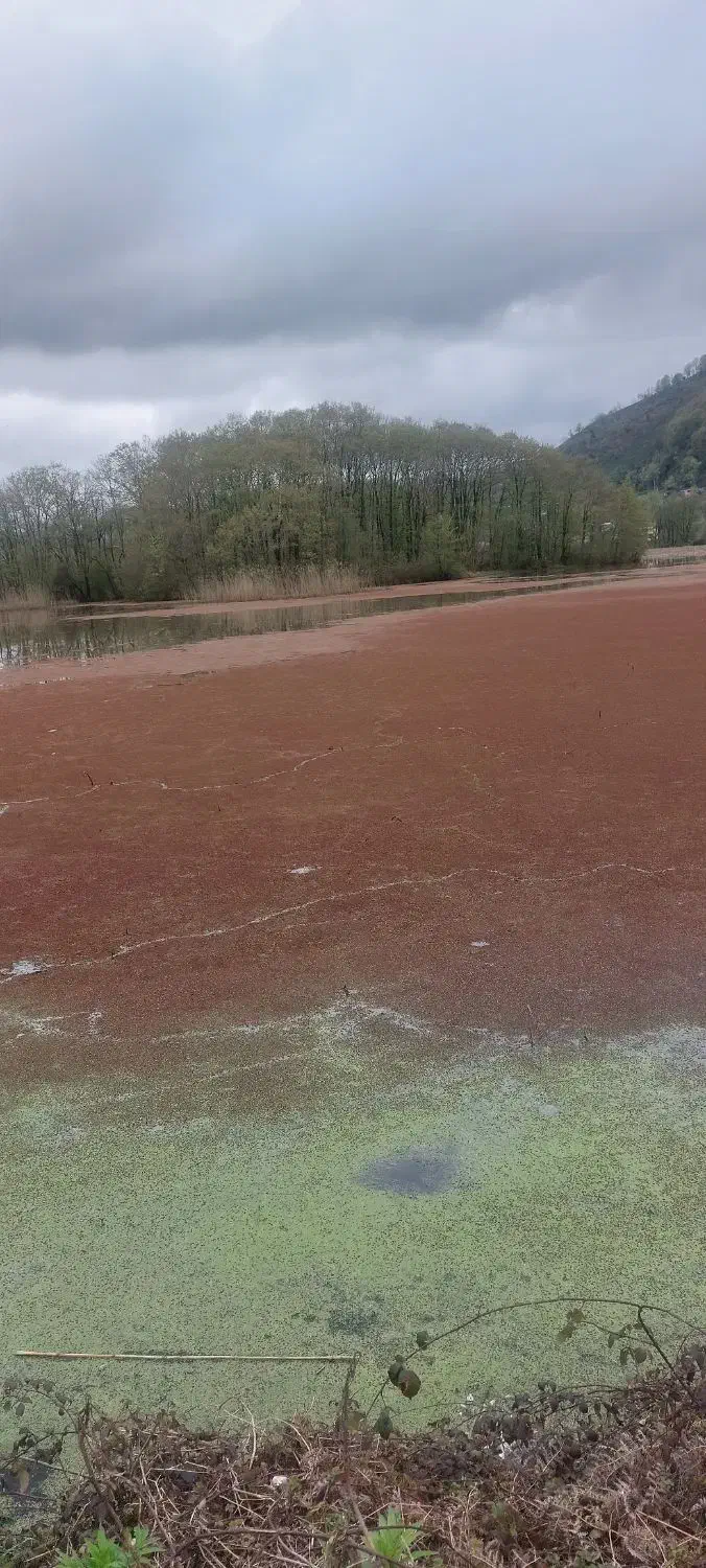 راهنمایی گرفتگی عضلات و مفاصل|فعالیت داوطلبانه|قزوین, |دیوار