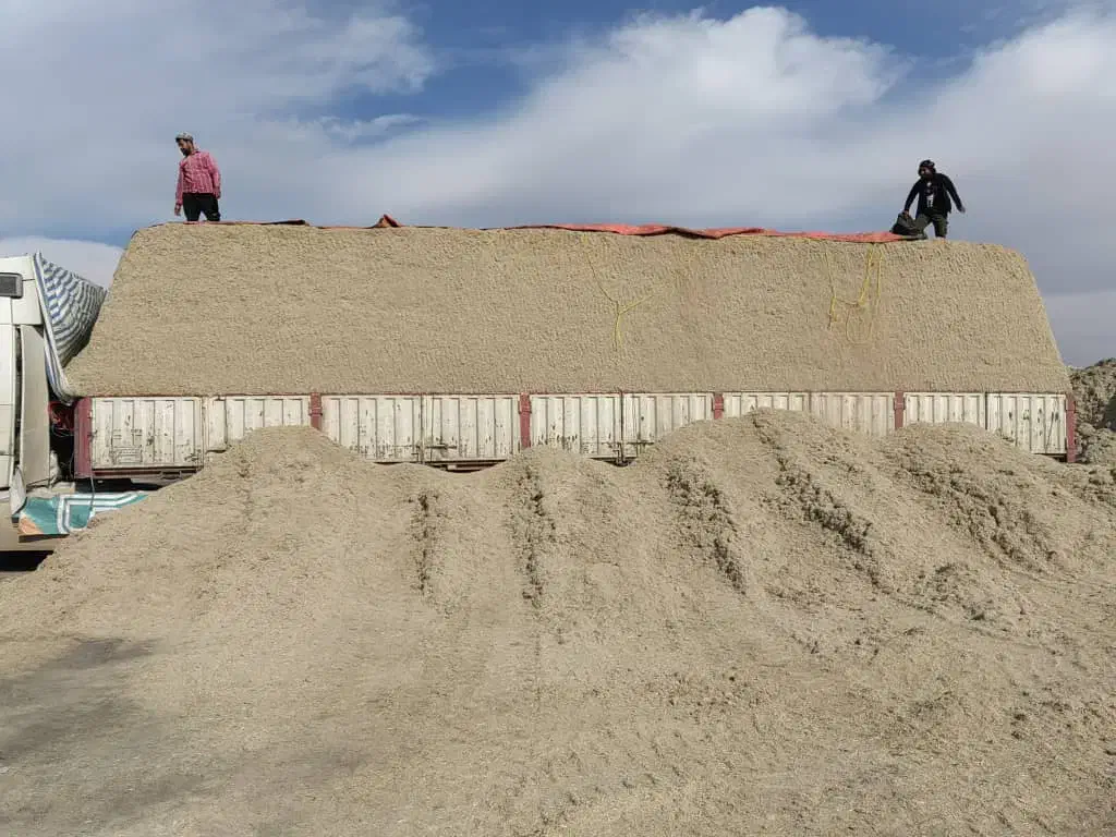 باگاس نیشکر|خدمات پیشه و مهارت|شهرضا, |دیوار