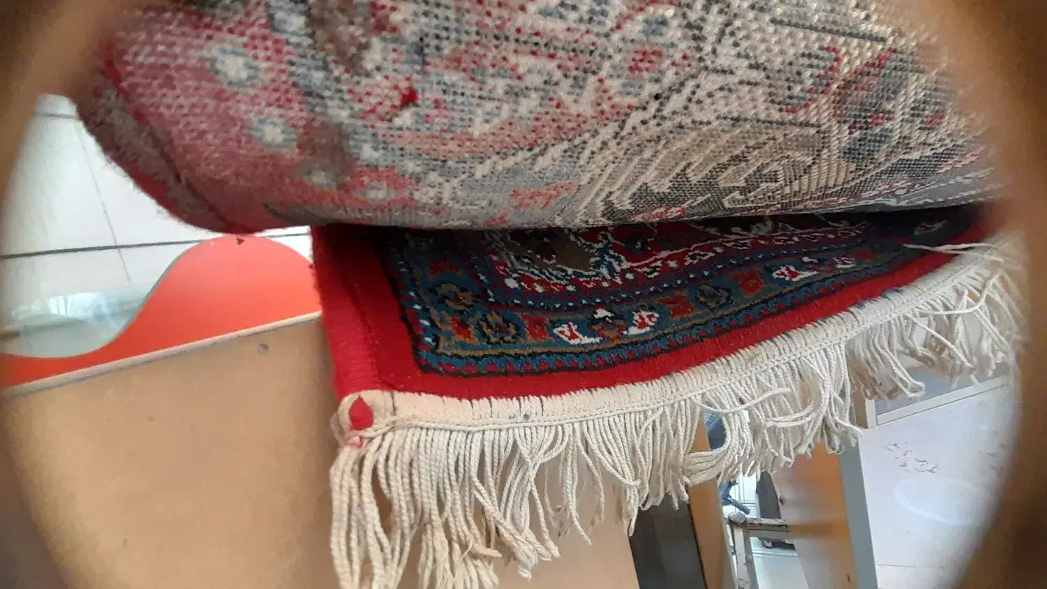 فرش۶متری و۱۲متری قرمز|فرش|نیشابور, ده حلاج|دیوار