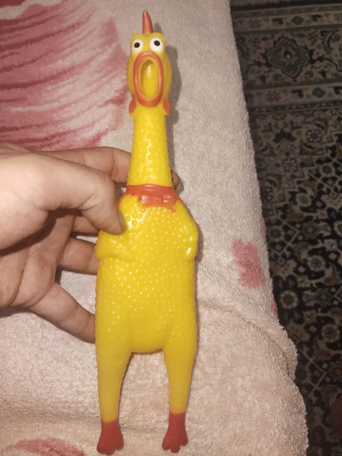 مرغ پلاستیکی|اسباببازی بچه|پردیس, فاز ۴|دیوار