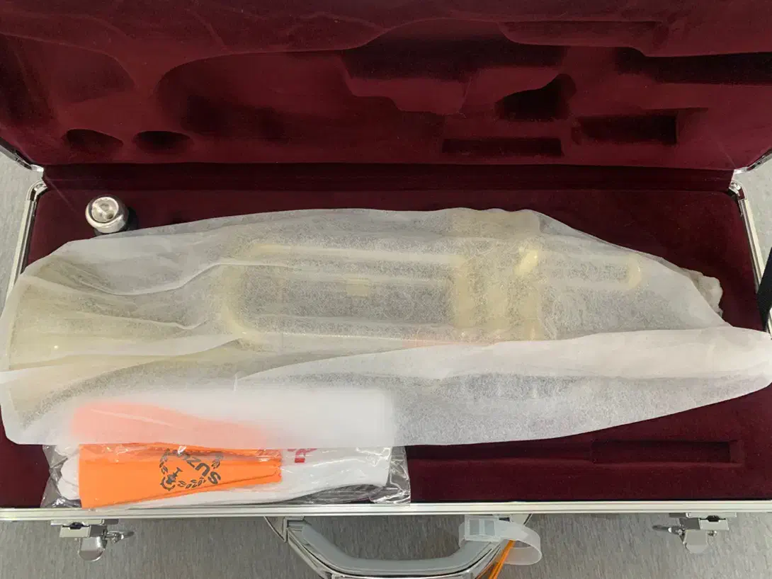 ترومپت سوزوکی با هارد کیس آلومینیومی|سازهای بادی|کرمان, |دیوار