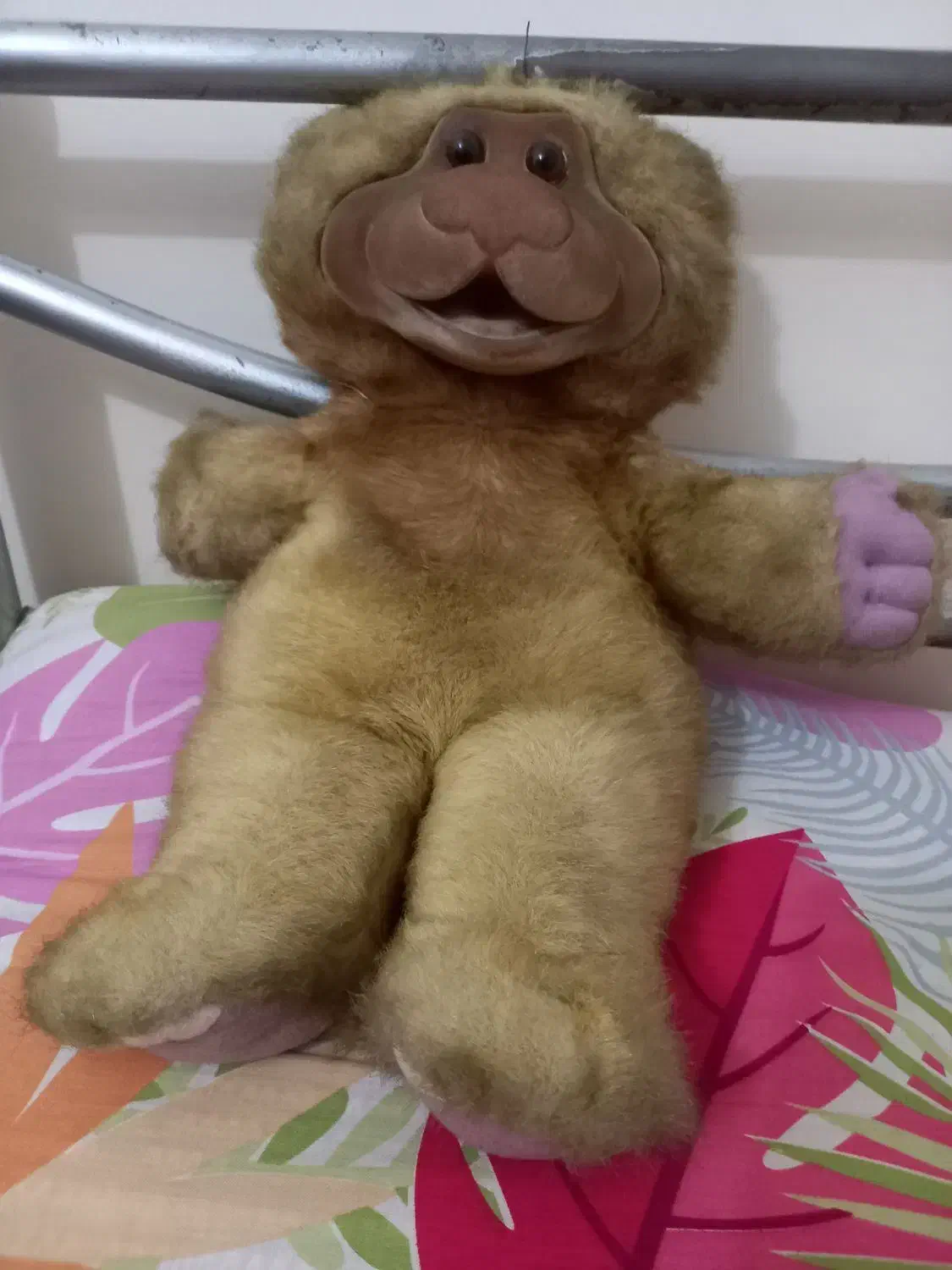 خرس خارجی|اسباببازی|تبریز, |دیوار