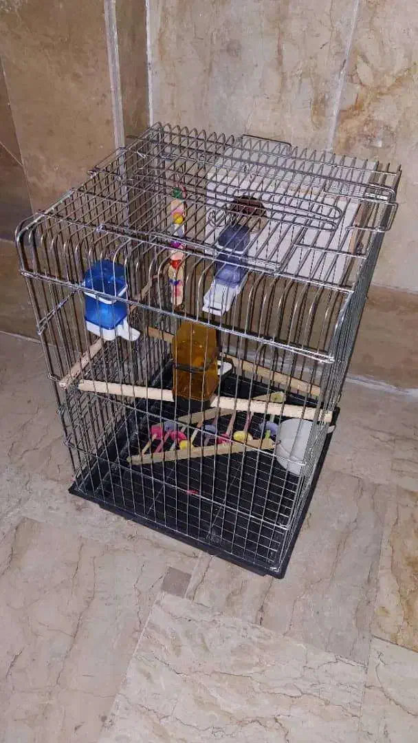 قفس عروس هلندی|لوازم جانبی حیوانات|تهران, گلستان (شهرک راه آهن)|دیوار