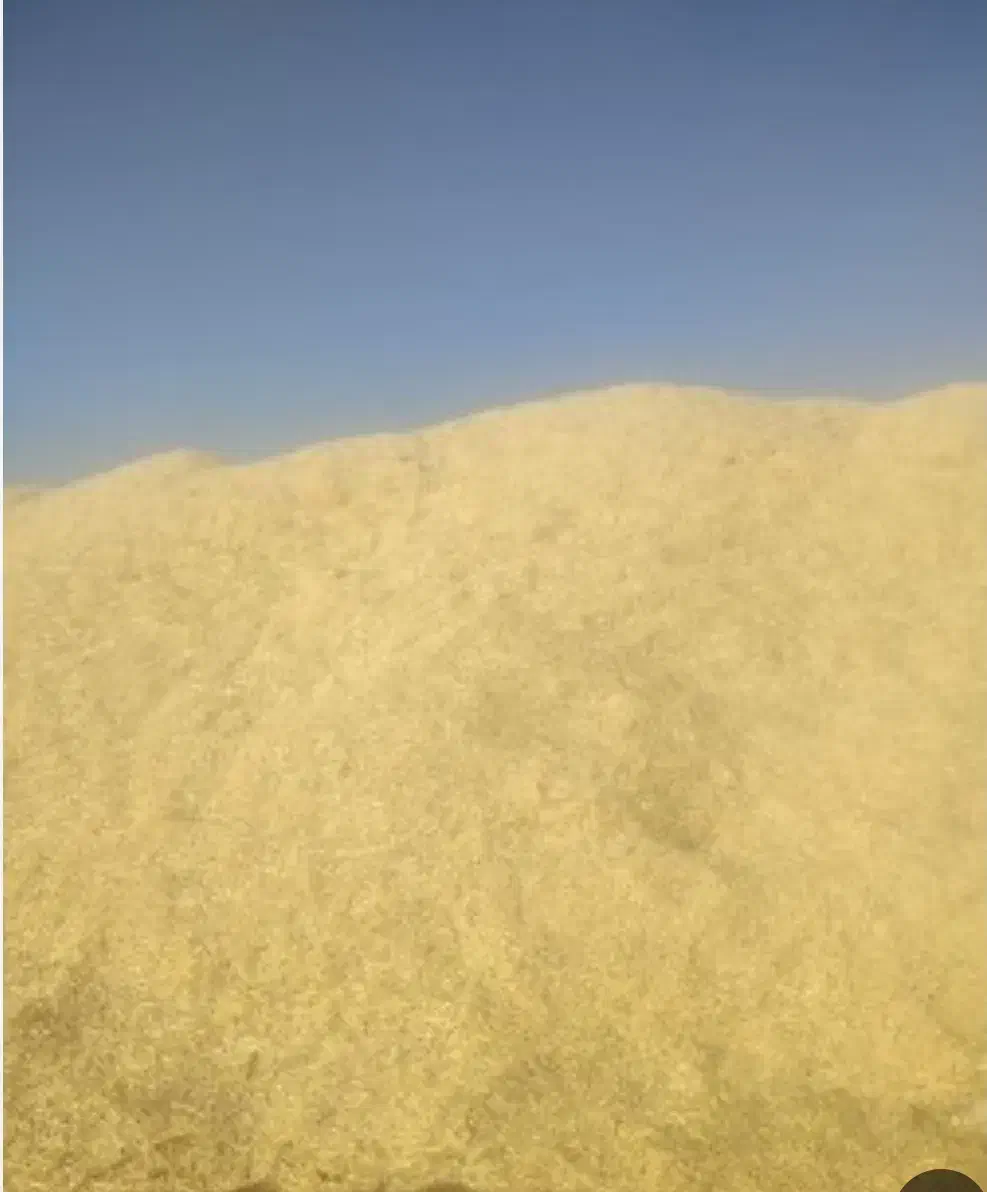 کاه سفید|لوازم جانبی حیوانات|لردگان, |دیوار