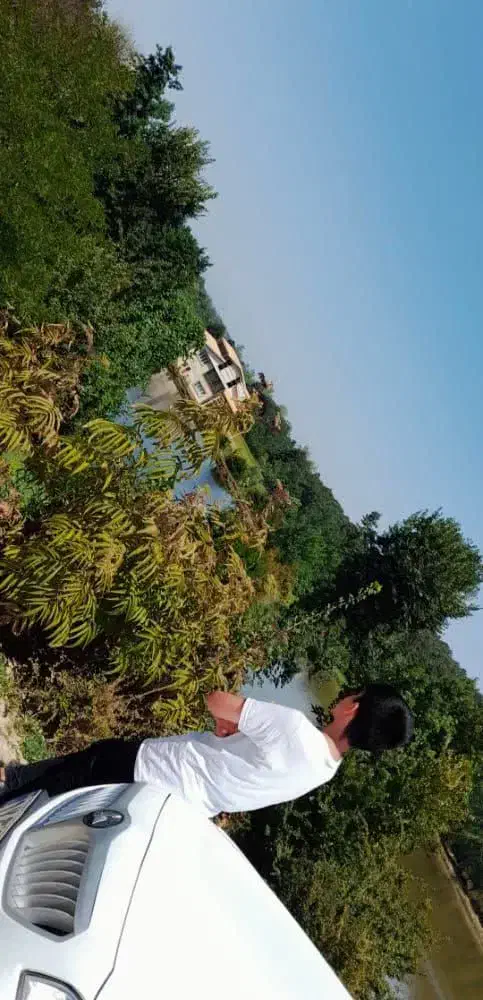 زمین اجاره ای بزرگ|اجارهٔ مغازه و غرفه|بیرجند, |دیوار