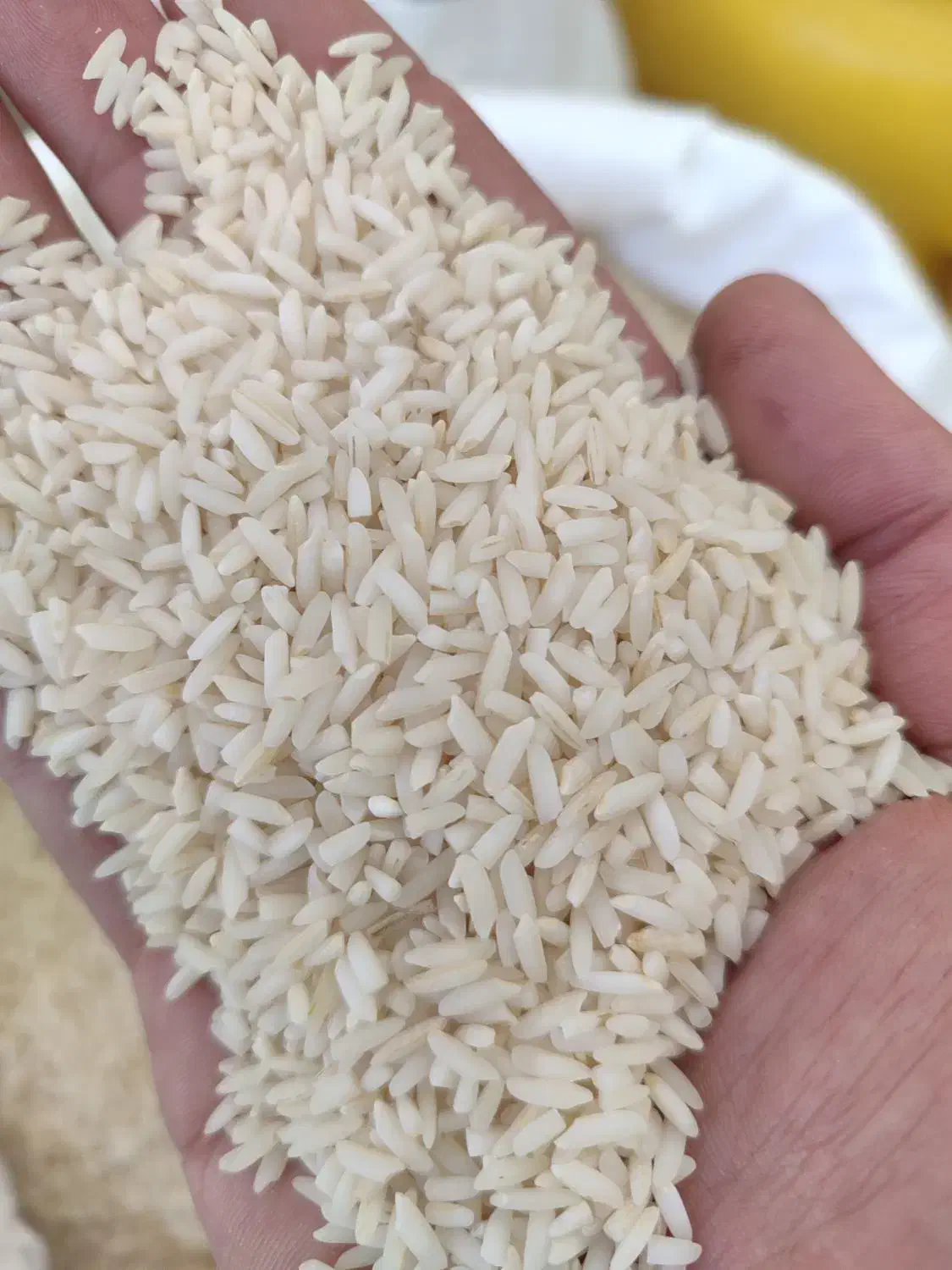 برنج علی کاظمی معطر|خوردنی و آشامیدنی|زنجان, |دیوار