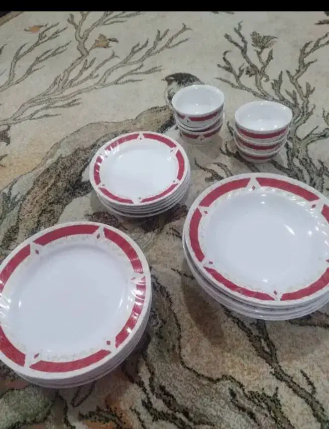 ظروف چینی|ظروف سرو و پذیرایی|مسجد سلیمان, |دیوار