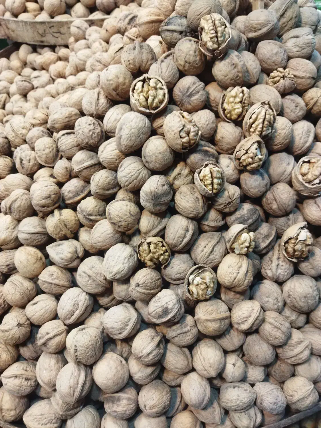 فندق و پسته زعفران تخفیف ولادت بی بی دوعالم مهرگان|خوردنی و آشامیدنی|قزوین, |دیوار