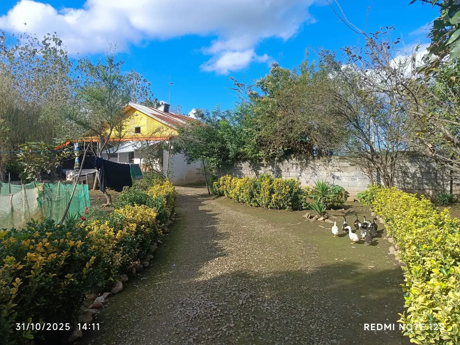 خانه ویلایی (سنددار)|فروش خانه و ویلا|تولم شهر, |دیوار