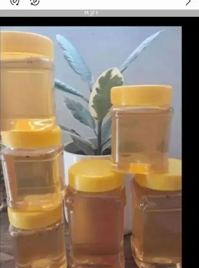 عسل طبیعی کوهستان|خوردنی و آشامیدنی|کرمان, |دیوار