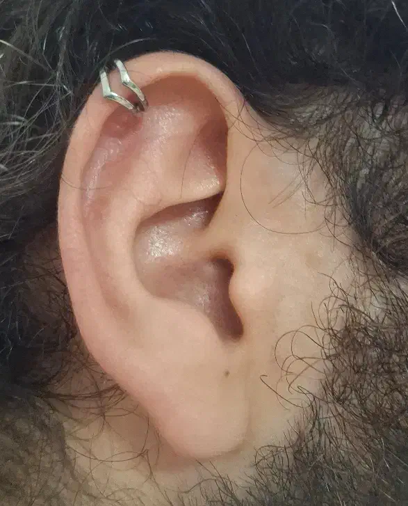 گوشواره فیک . ایرکاف اسپرت . استیل|بدلیجات|لاهیجان, شیشه گران|دیوار