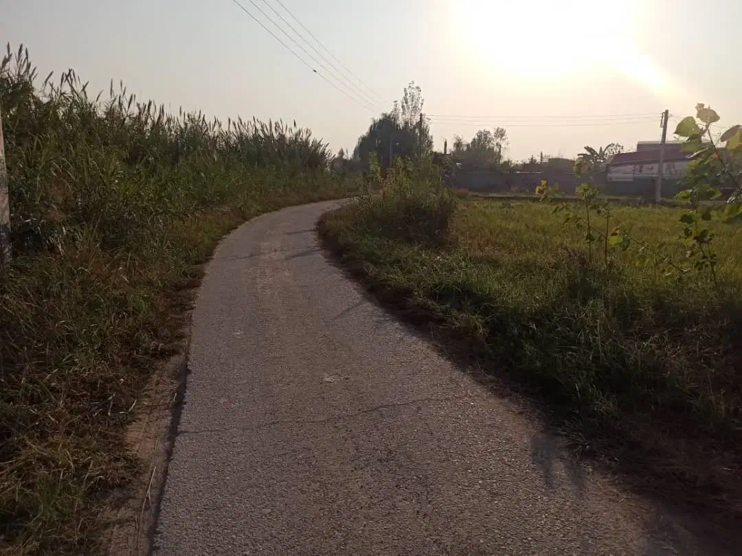 باغ ۵۷۰متری/با سوئیت ۵۰متری/با سند و مجوز و پروانه|فروش زمین و ملک کلنگی|زرگرشهر, |دیوار