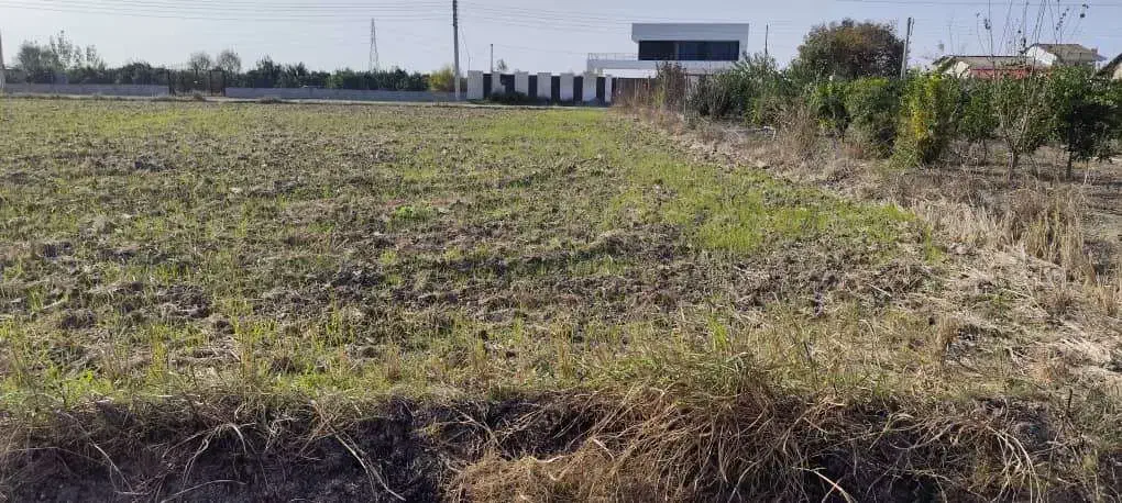 فروش زمین مناسب ویلاسازی|فروش زمین و ملک کلنگی|طبقده, |دیوار