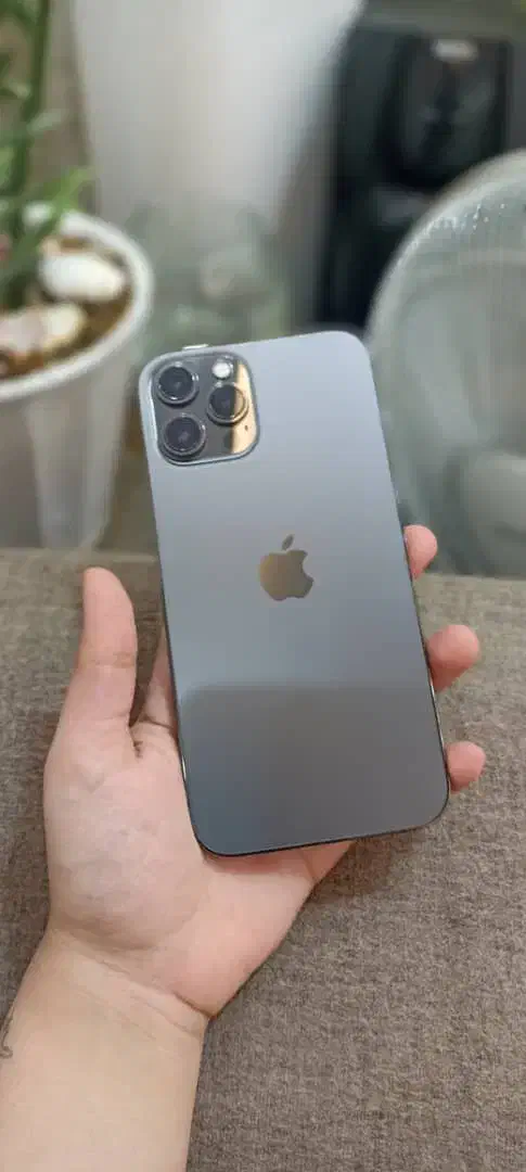 ایفون ۱۲ پرومکس|موبایل|بندر گناوه, |دیوار