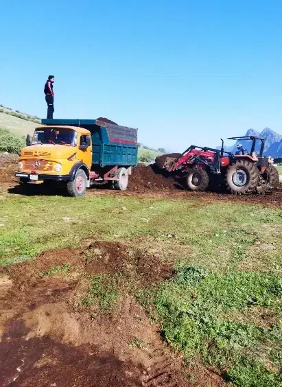 کود حیوانی گوسفندی سوخته|خدمات باغبانی و درختکاری|خرمآباد, |دیوار