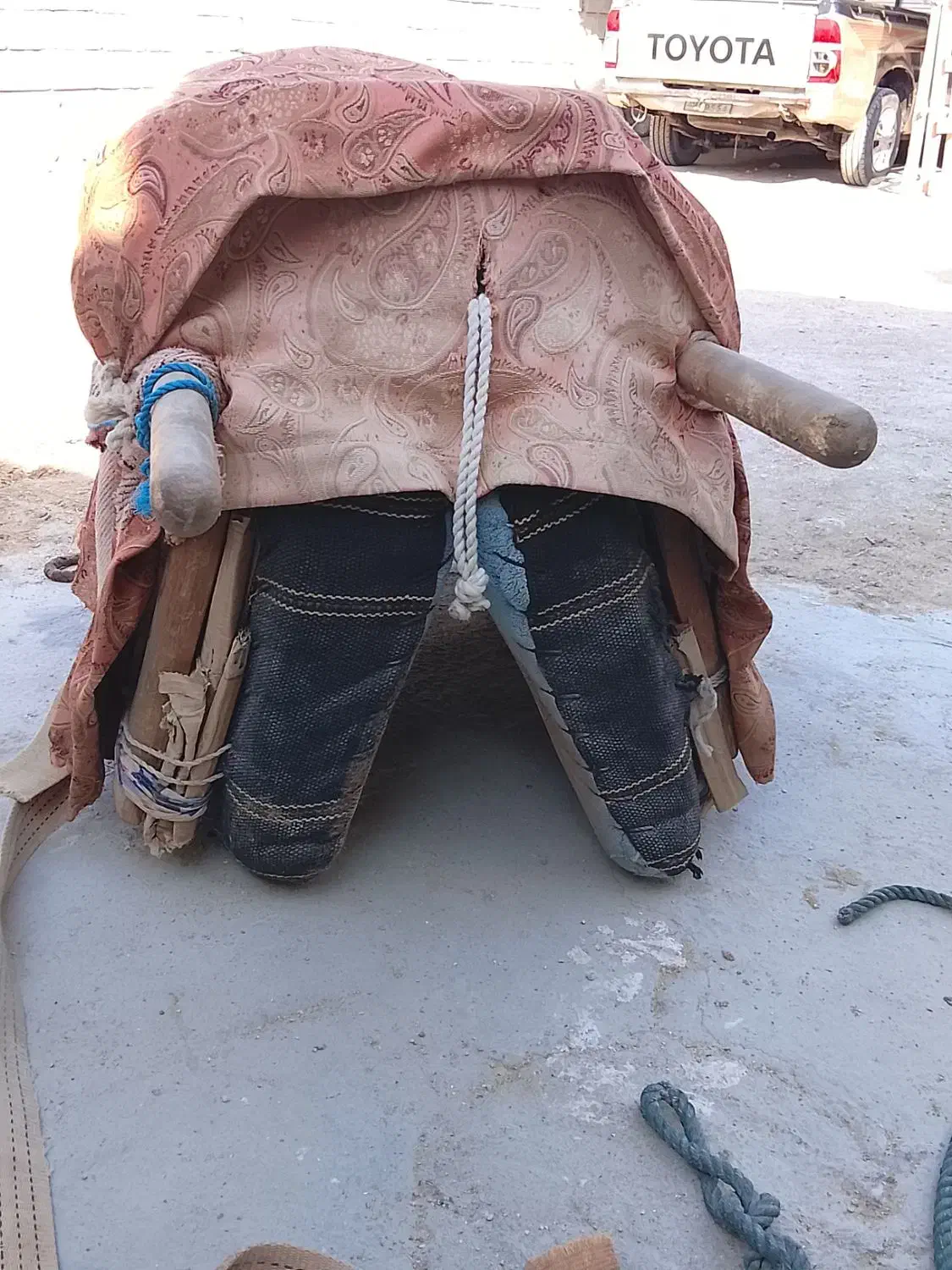 پالون مینابی|اسب و تجهیزات اسبسواری|قشم, |دیوار