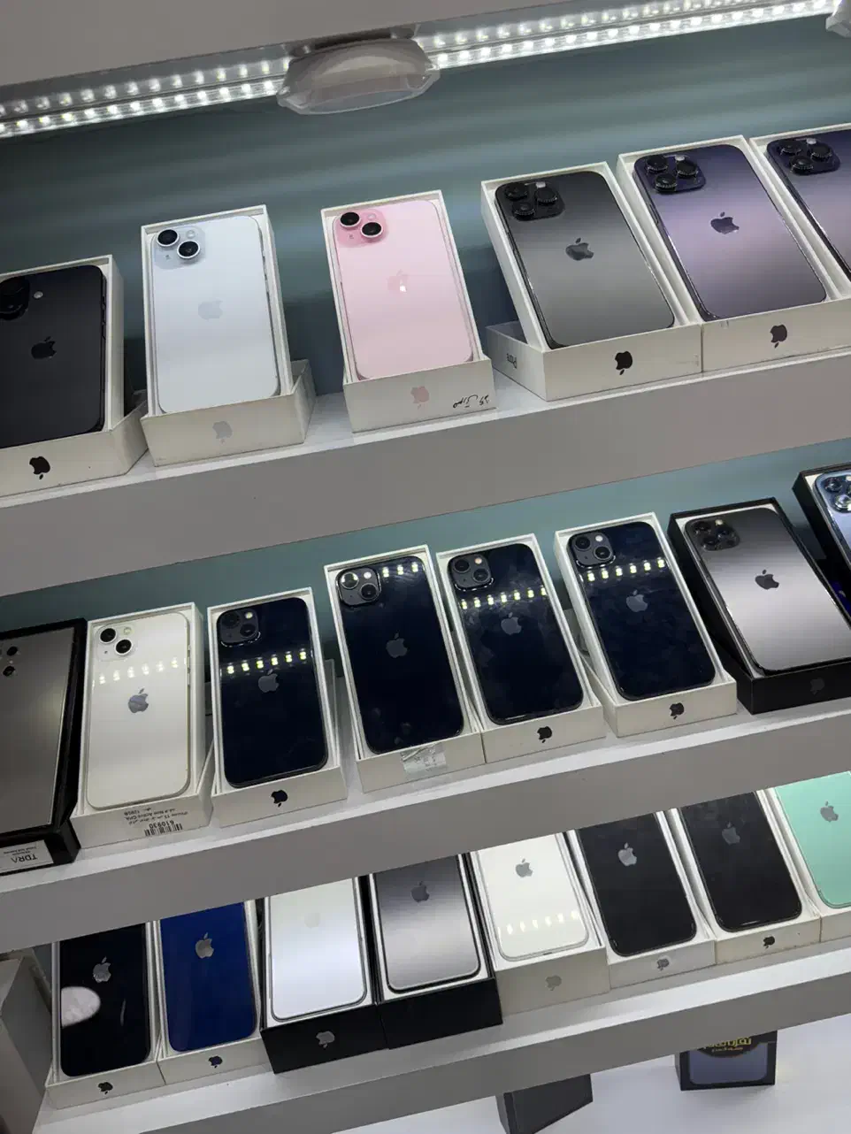 اپل iPhone 13 رنگ مشکی سفید باطری ها مختلف موجود|موبایل|گرگان, |دیوار