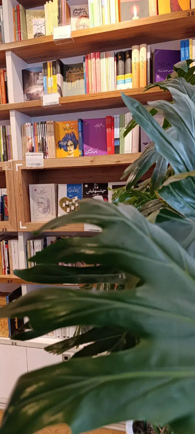 مقاله و پایان نامه|خدمات آموزشی|تهران, فرمانیه|دیوار