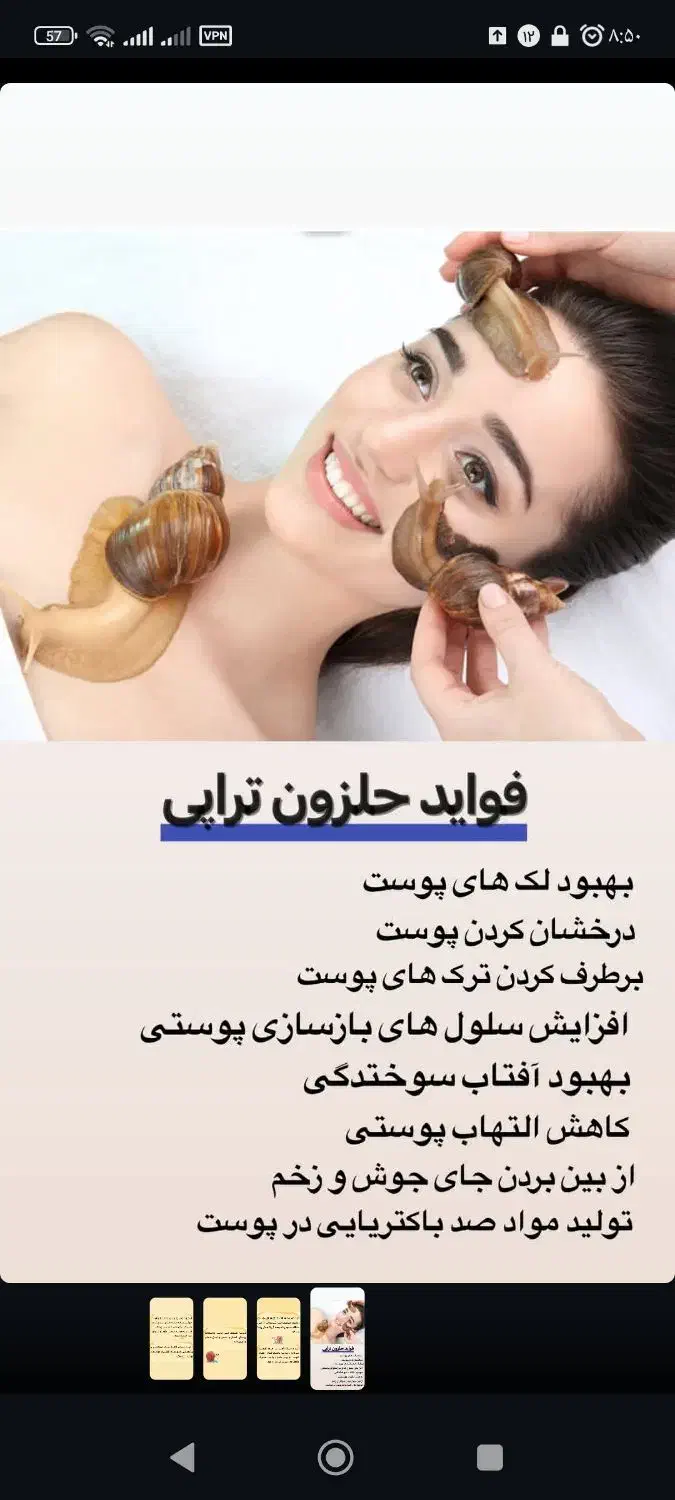 حلزون آچاتینا|خزنده|کرج, اصفهانی‌ها|دیوار