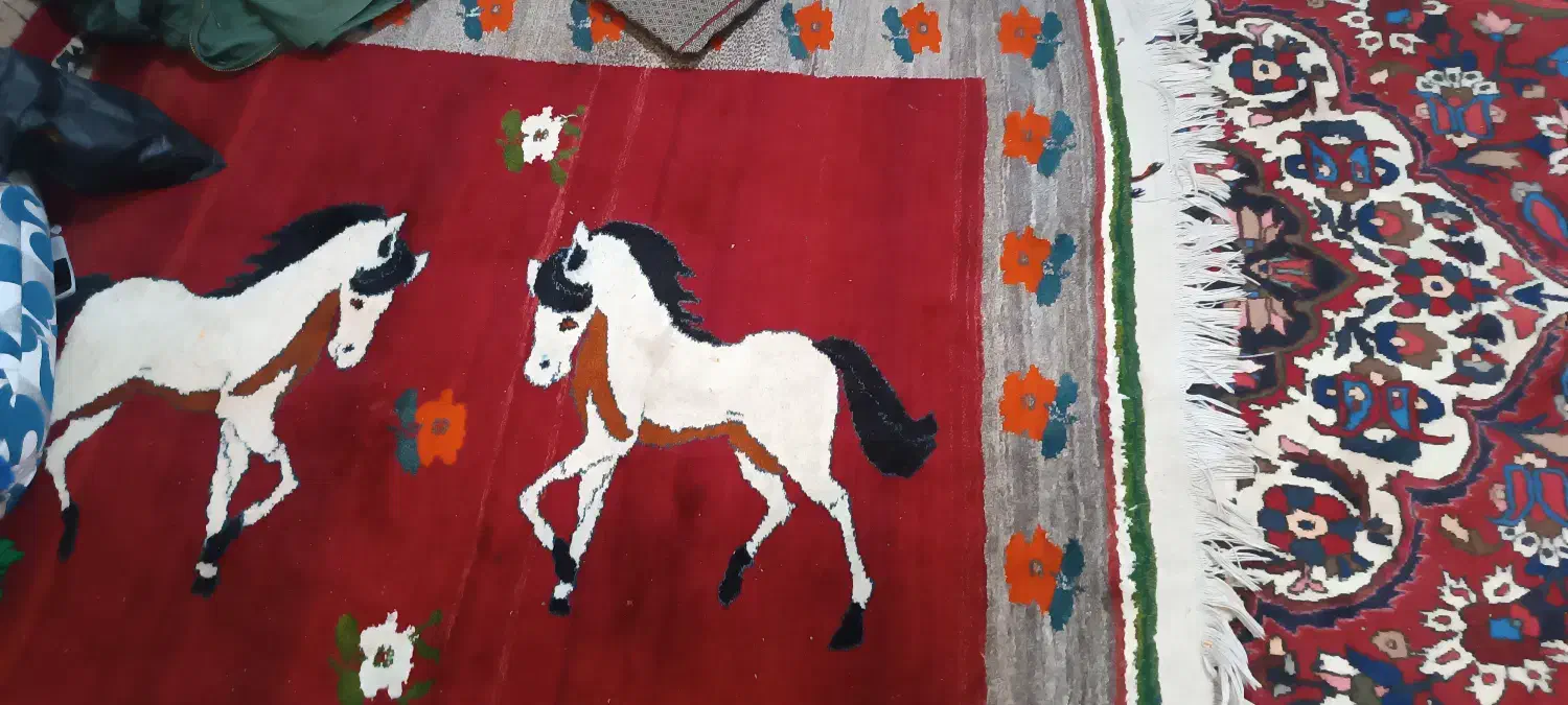 فروش فوری قالی|فرش|شیراز, شهرک رضوان|دیوار