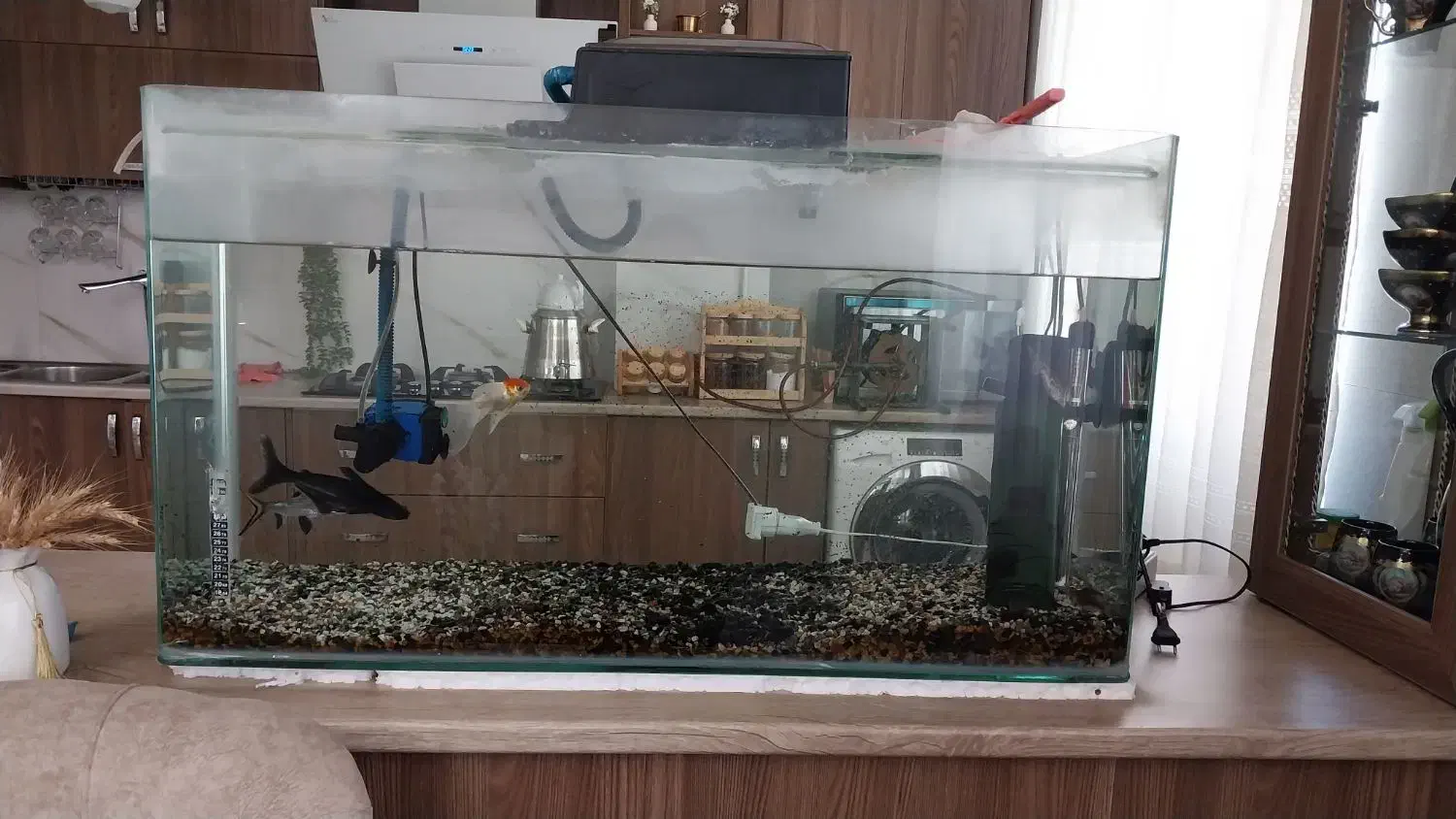 حراج وسایل منزل|حراج|قزوین, |دیوار