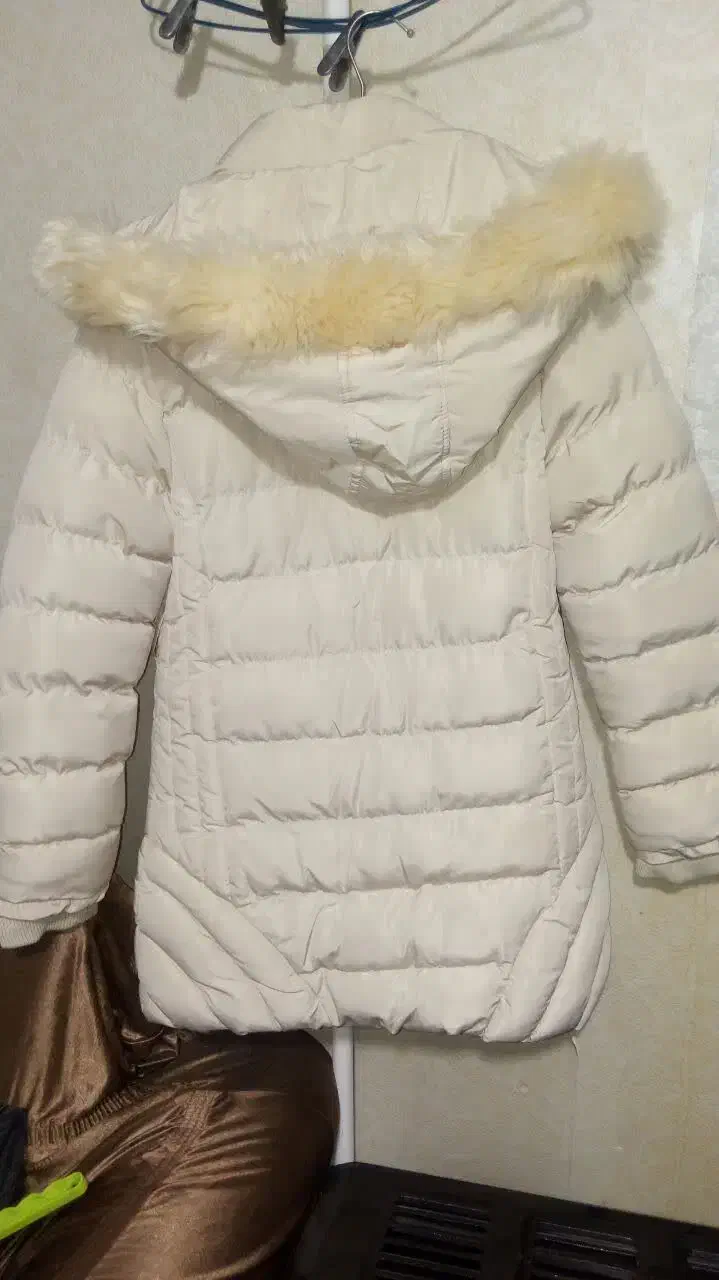 کاپشن نو|لباس|اراک, |دیوار