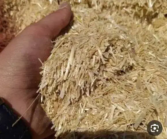 کاه درجه یک|عمدهفروشی|کوزران, |دیوار