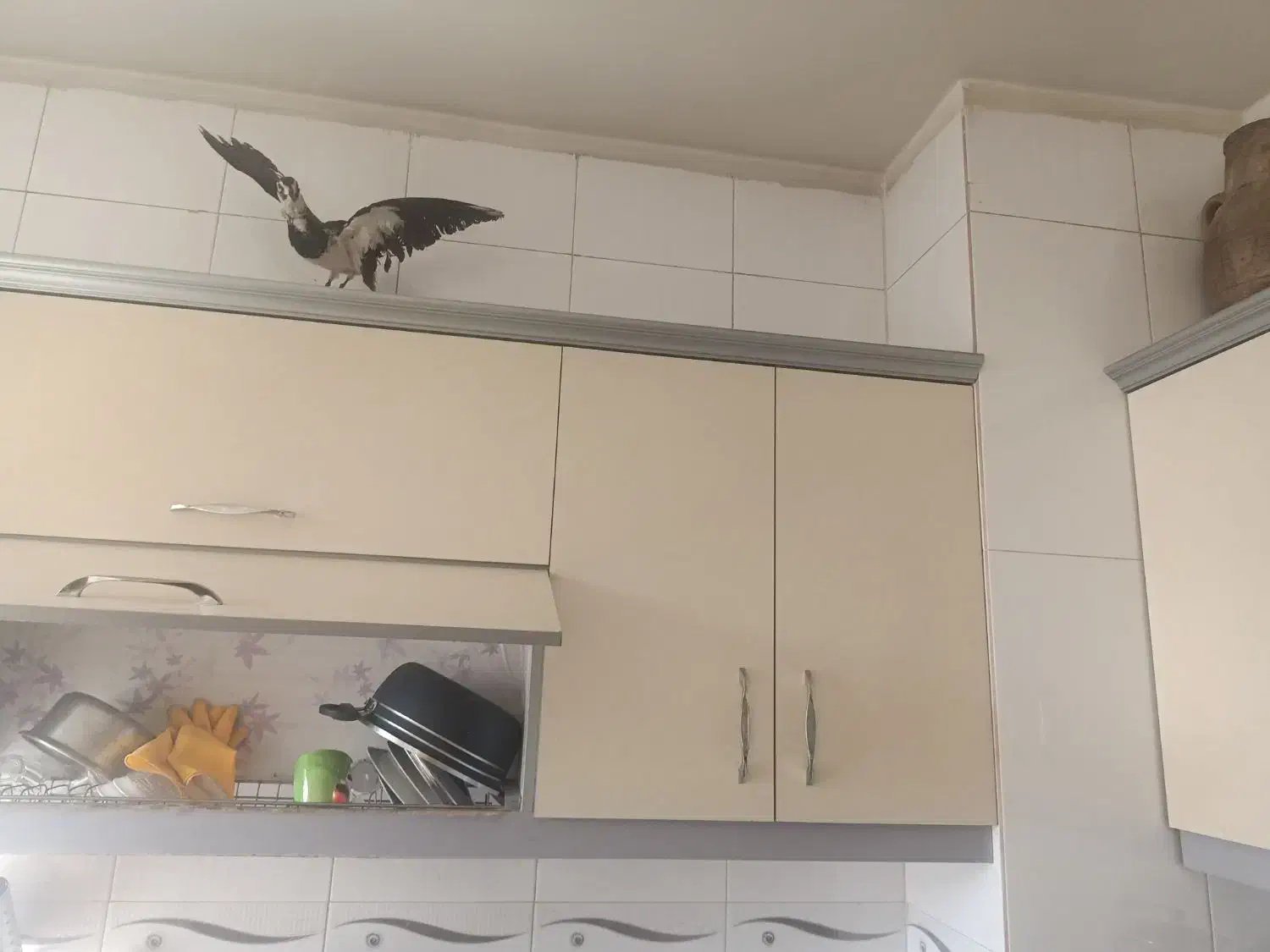 درب کابینت|مصالح و تجهیزات ساختمان|شاهین‌شهر, فردوسی|دیوار