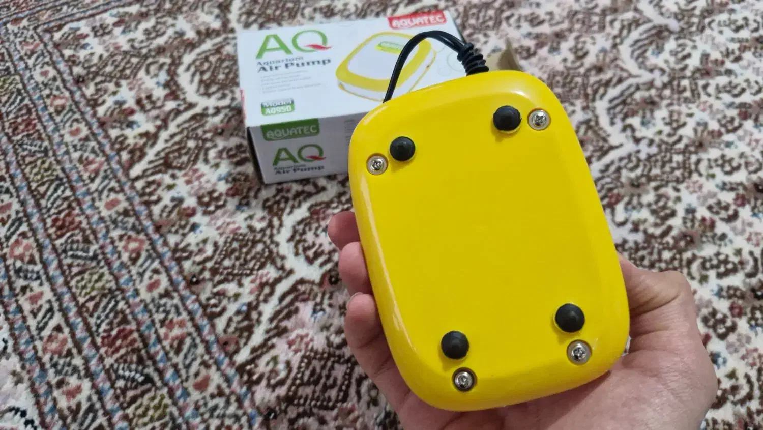 لوازم اکواریوم|ماهی|ارومیه, |دیوار