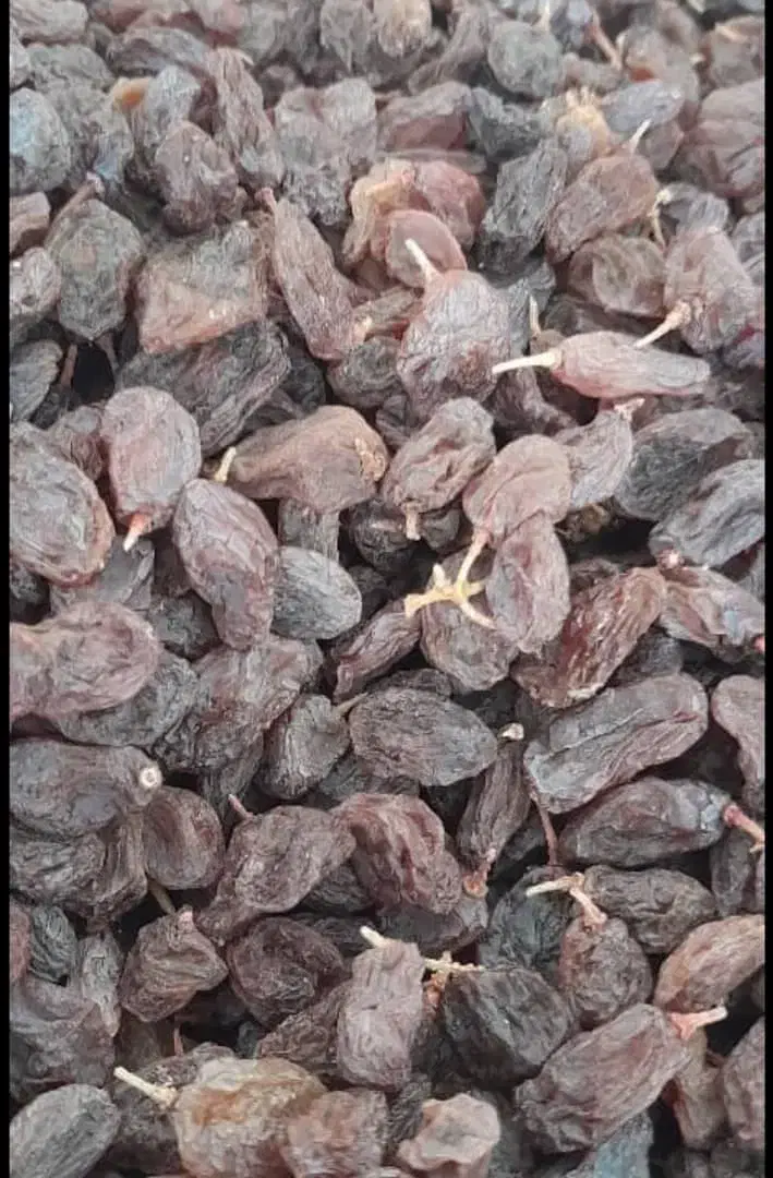 فروش حبوبات عسل کشمش برنج وخرده فجر باکیفیت|خوردنی و آشامیدنی|صدرا-فارس, فاز ۲|دیوار