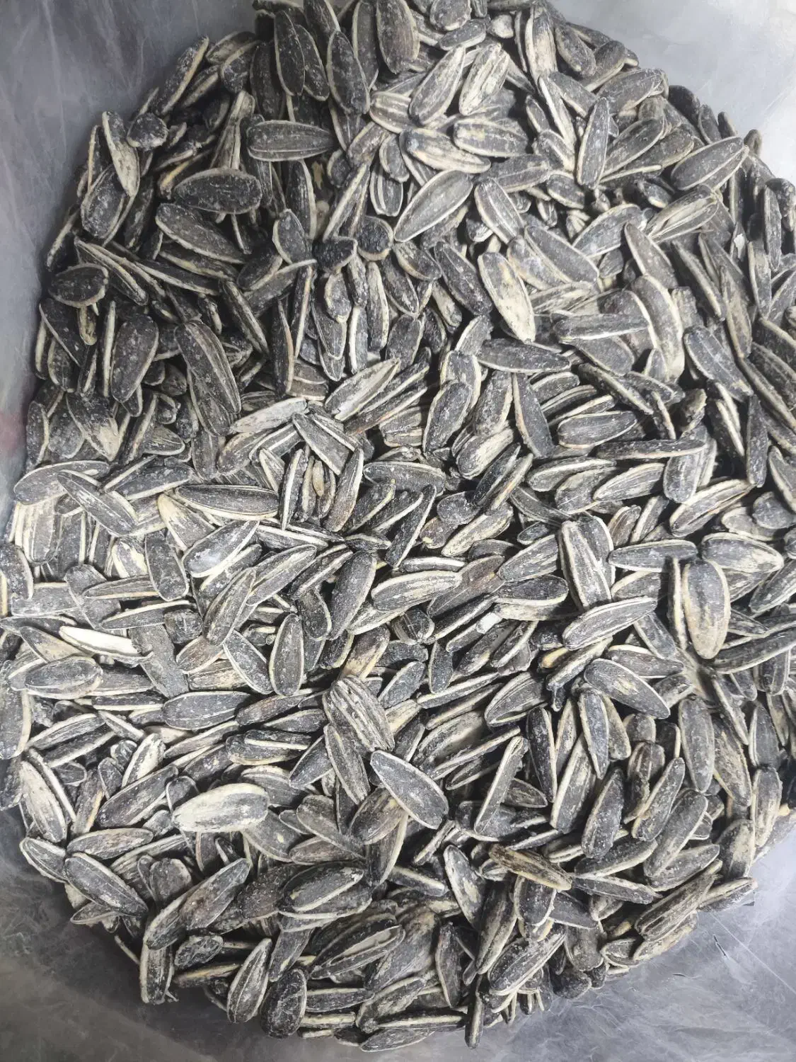 تخمه دور سفید نمکی|خوردنی و آشامیدنی|تهران, افسریه جنوبی|دیوار