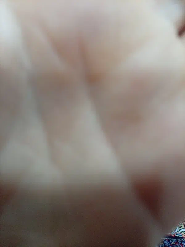 گمشدع|حیوانات|خوی, |دیوار