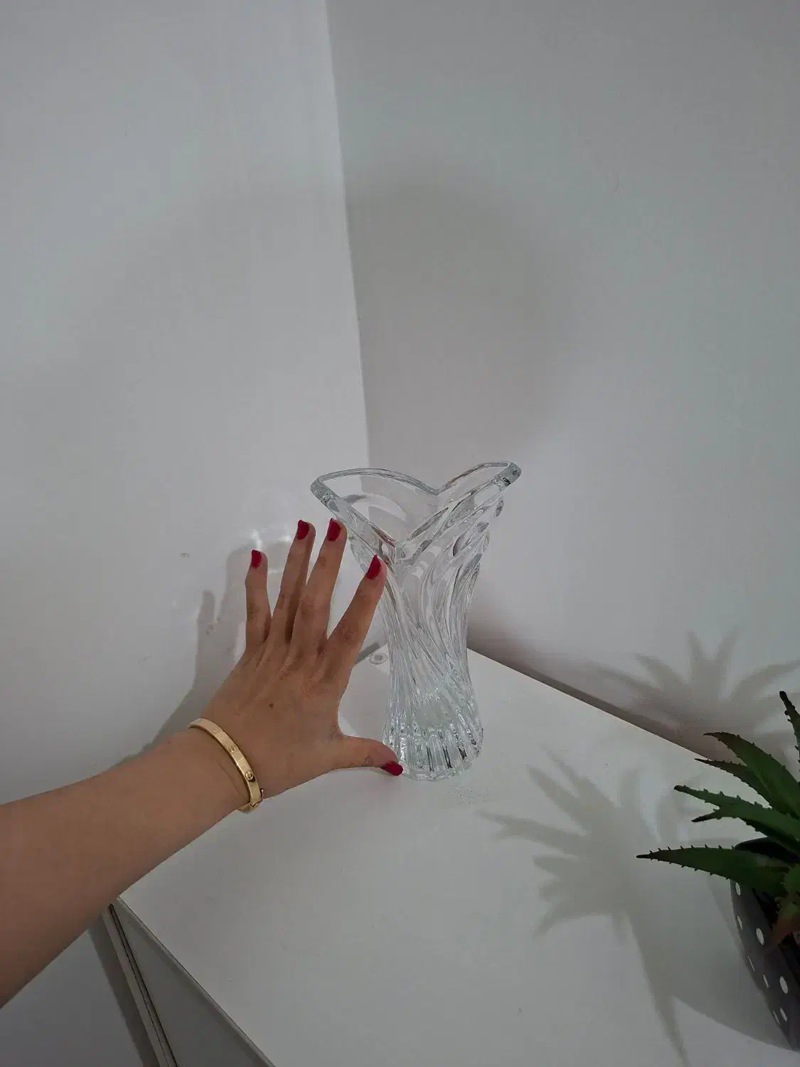 ظروف|ظروف سرو و پذیرایی|گرگان, |دیوار