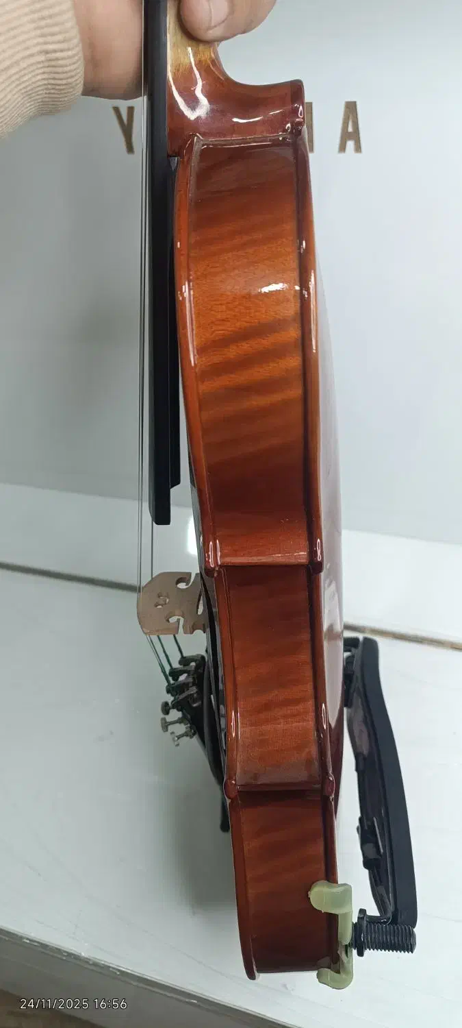 ویولن آماتی|ویولن|مشهد, نرگس (شهرک غرب)|دیوار