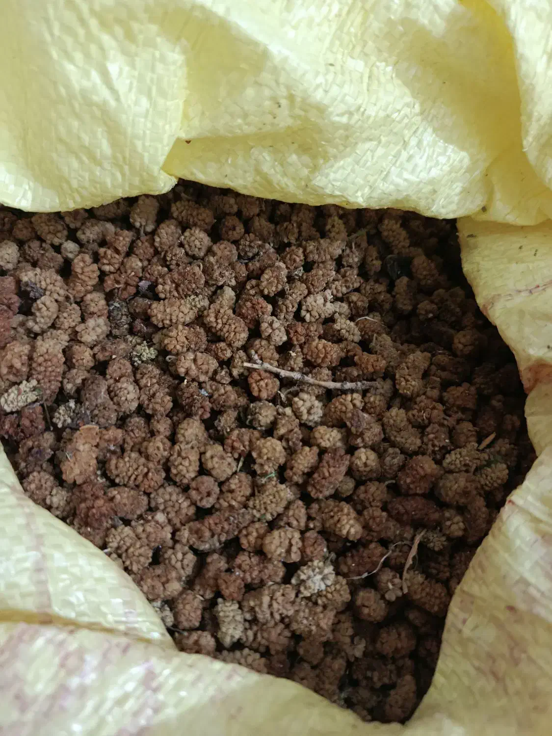 توت خشک گوسفند ی امسالی|عمدهفروشی|حمیدیا, |دیوار