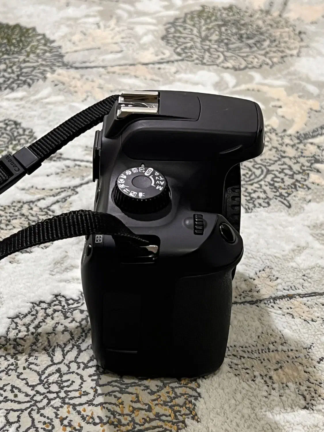 دوربین عکاسی|دوربین عکاسی و فیلمبرداری|مریوان, |دیوار