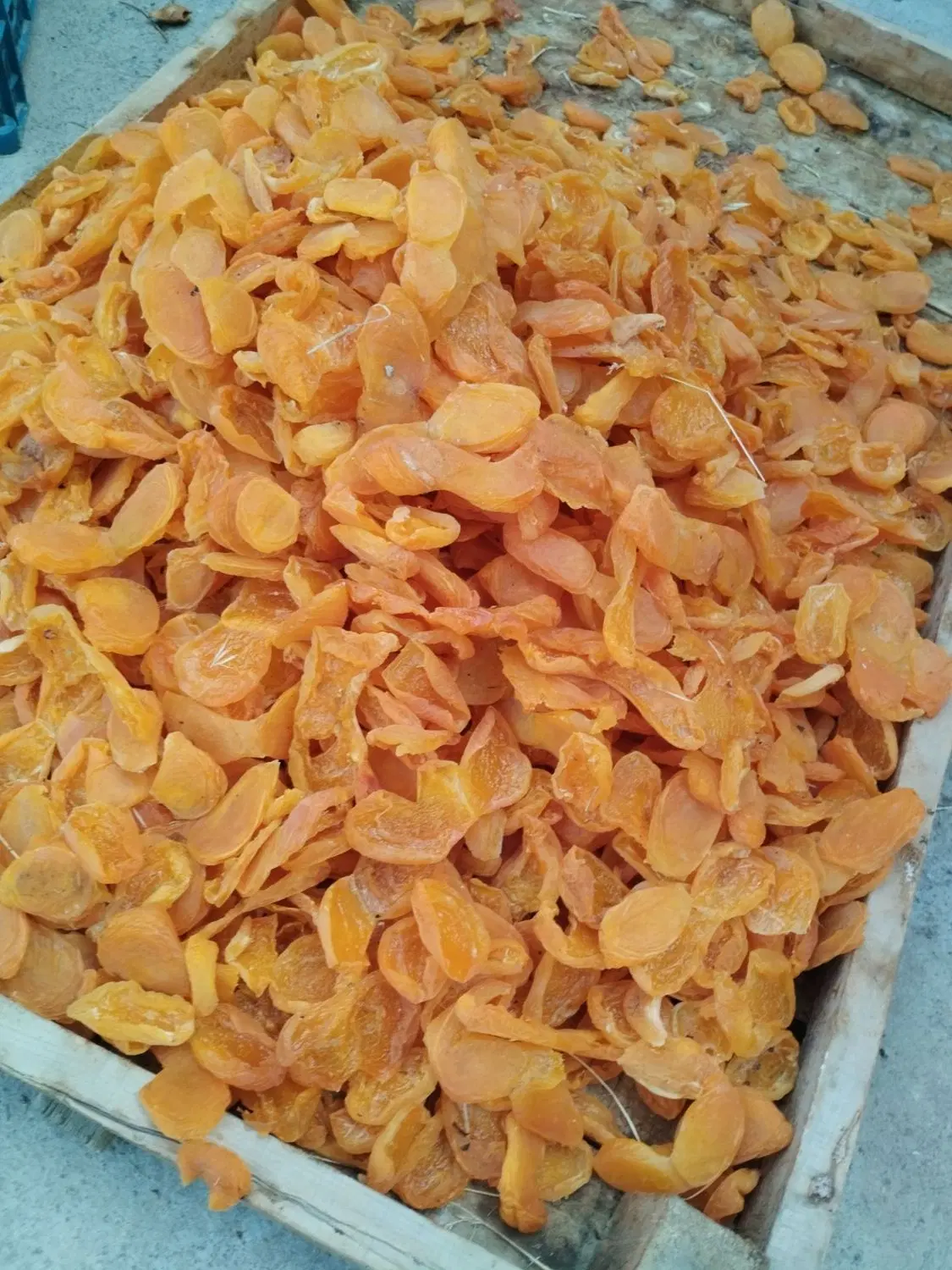 خریدو فروش برگه زردالو الوچه و قیصی به صورت عمده|خوردنی و آشامیدنی|تبریز, |دیوار