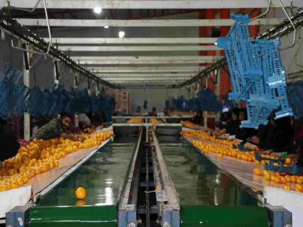 فروش سورتینگ مجهز بر اصلی ساری به نکا مبلغی معاوضه|فروش دفتر صنعتی، کشاورزی، تجاری|ساری, |دیوار