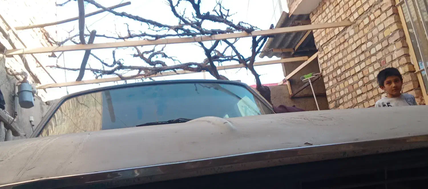 پیکان مدل 81|خودرو سواری و وانت|نیشابور, شهید بهشتی|دیوار