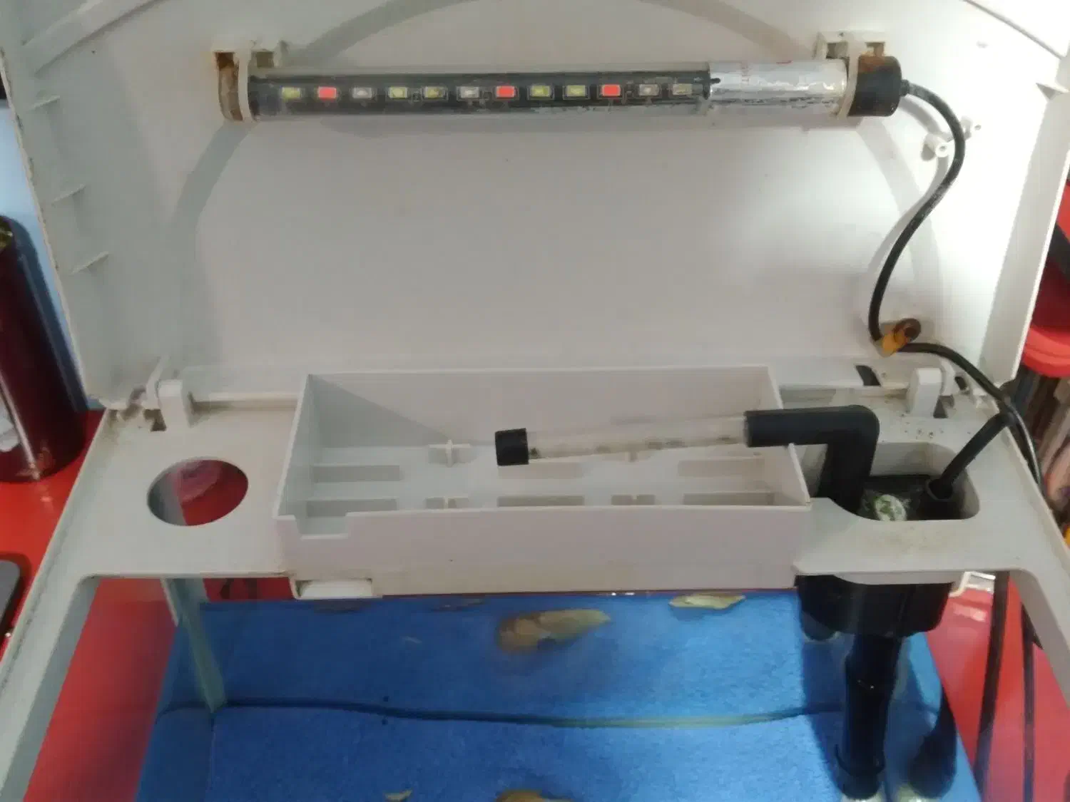 آکواریوم شرکتی ماهیران با نور سه حالته و فیلتر|ماهی|تهران, امانیه|دیوار