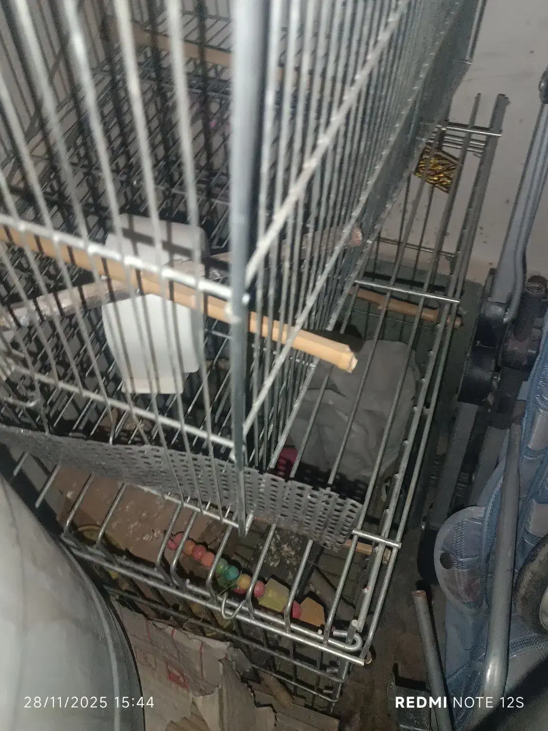 قفس عروس هلندی تمیز.|لوازم جانبی حیوانات|رودهن, |دیوار